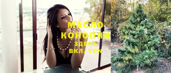 молекула духа Сатка